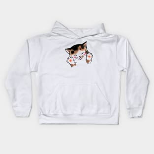 Healthy hands cat Kids Hoodie